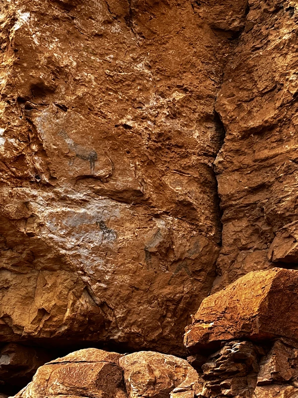 Rock paintings (Pinturas rupestres de Roca Benedí)